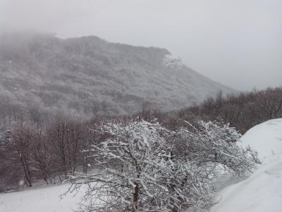 Прикрепленное изображение: IMG_20150110_122155.jpg